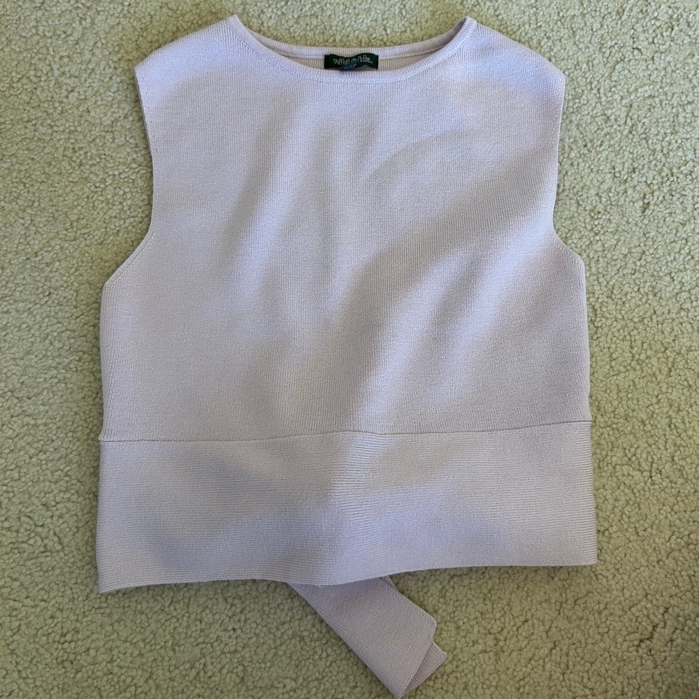 Wild Fable Purple Cropped Tank